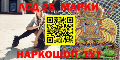скорость Шелехов